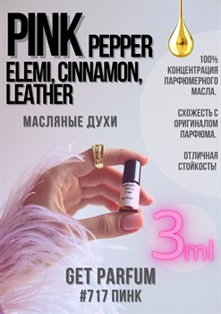 Pink Pepper, Elemi, Cinnamon, Leather / GET PARFUM 717 ПИНК_3 - фото 8949