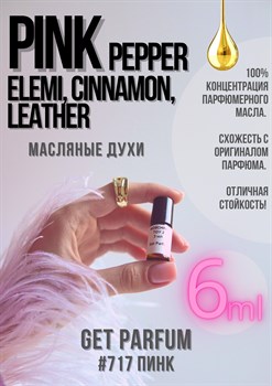 Pink Pepper, Elemi, Cinnamon, Leather / GET PARFUM 717 ПИНК_6 - фото 8950